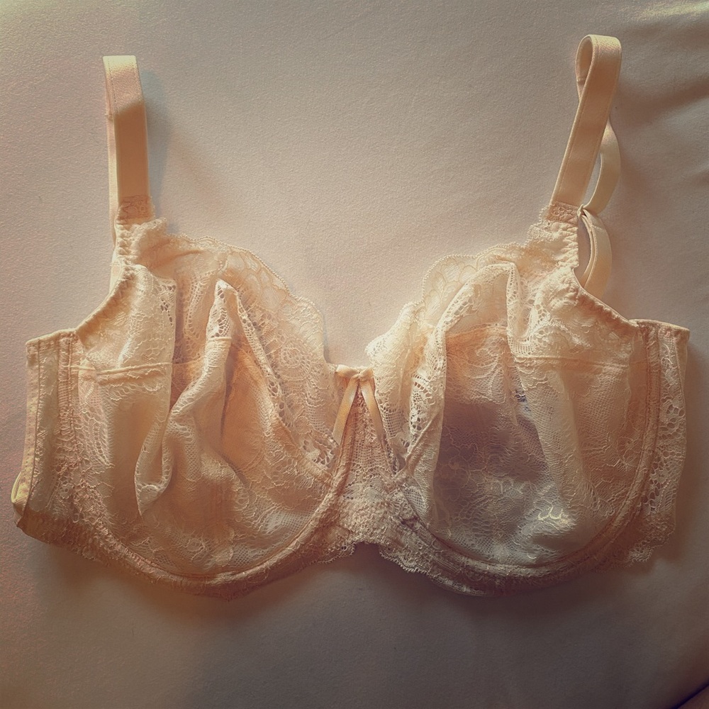 Panache Lingerie